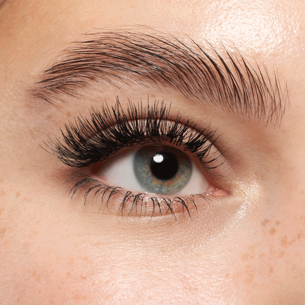LASHES TO IMPRESS - Image 15
