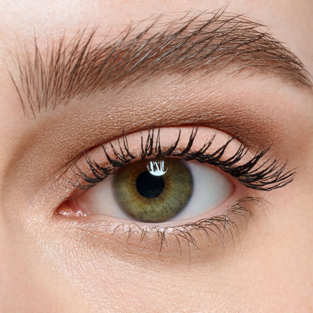 the NUDE edition mini eyeshadow palette - Image 4